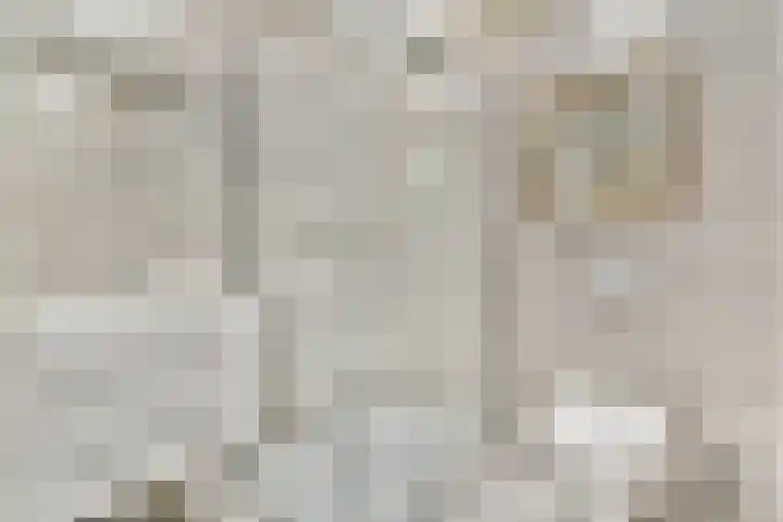 Ringslang 179 Amstelveen thumbnail 34