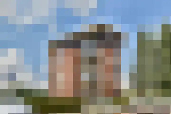 Ringslang 179 Amstelveen thumbnail 47