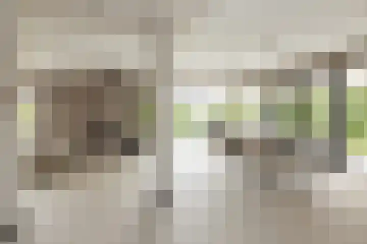 Ringvaartzijde 15 Lisse thumbnail 14