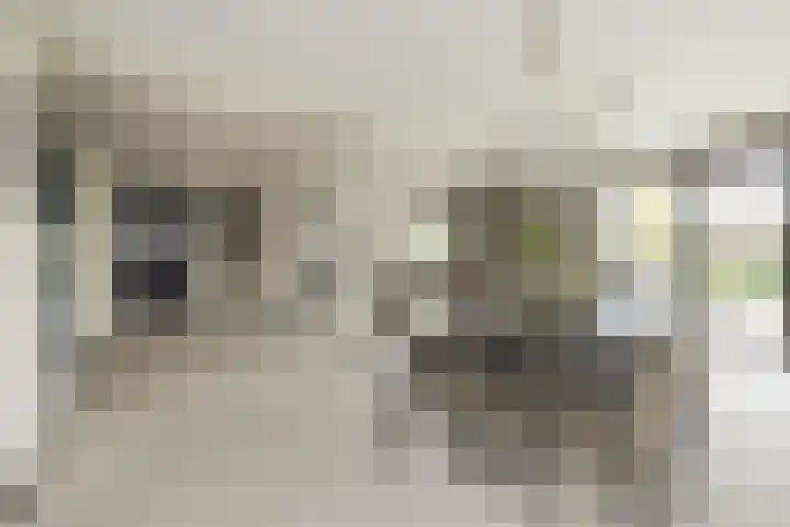 Ringvaartzijde 15 Lisse thumbnail 15
