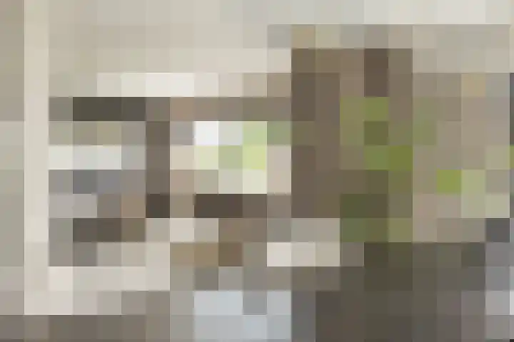 Ringvaartzijde 15 Lisse thumbnail 16