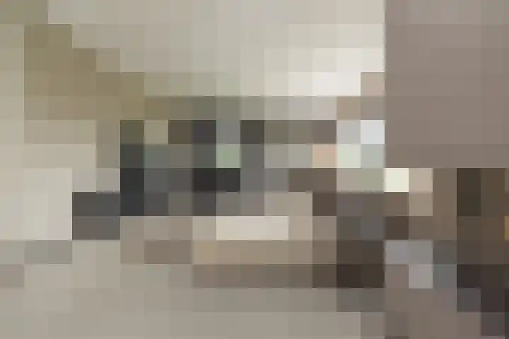 Ringvaartzijde 15 Lisse thumbnail 17