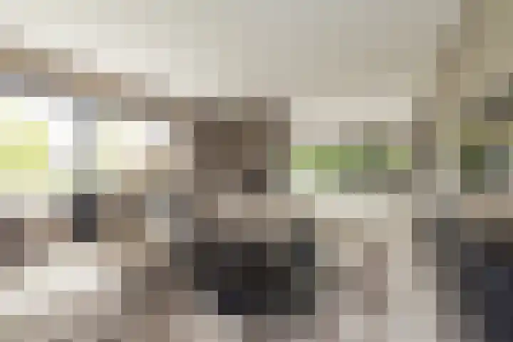 Ringvaartzijde 15 Lisse thumbnail 19