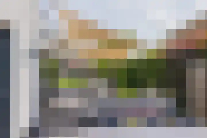 Ringvaartzijde 15 Lisse thumbnail 32