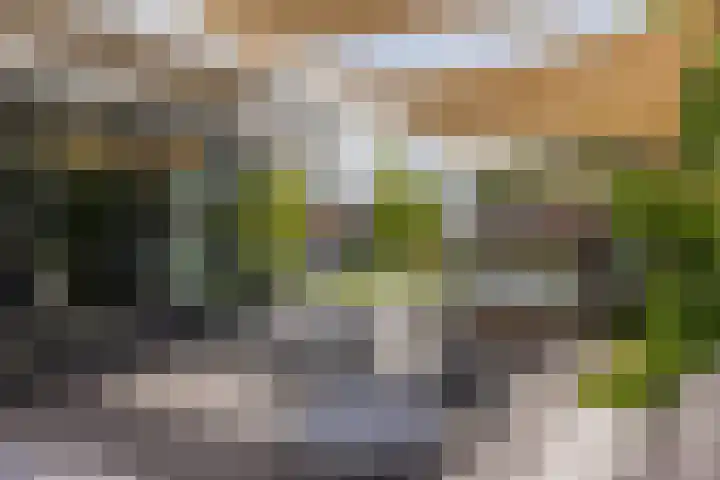 Ringvaartzijde 15 Lisse thumbnail 33