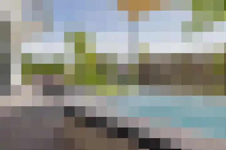 Ringvaartzijde 15 Lisse thumbnail 35