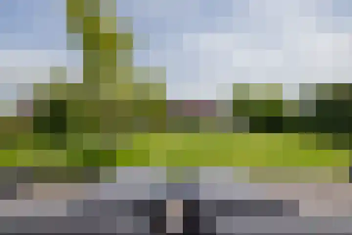 Ringvaartzijde 15 Lisse thumbnail 36