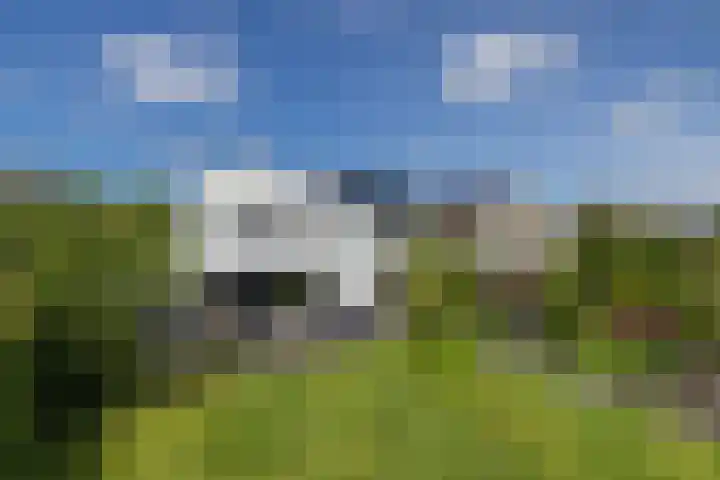 Ringvaartzijde 15 Lisse thumbnail 37