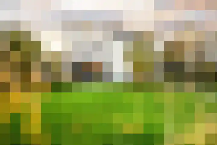 Ringvaartzijde 15 Lisse thumbnail 39