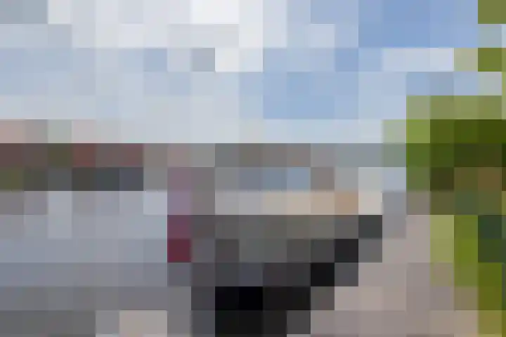 Ringvaartzijde 15 Lisse thumbnail 43