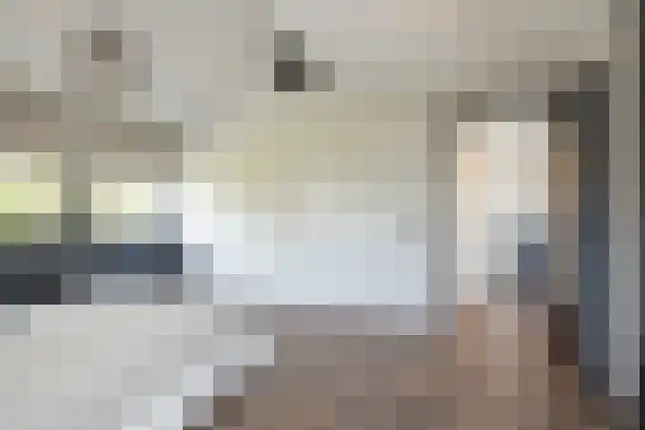 Ringvaartzijde 15 Lisse thumbnail 51