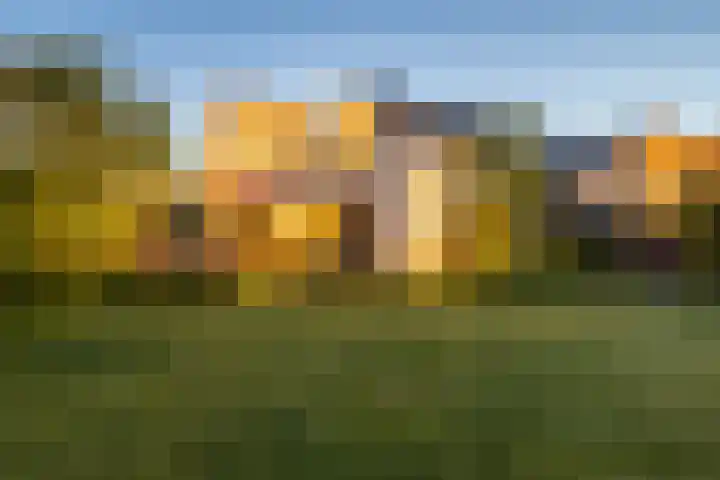 Ringvaartzijde 15 Lisse thumbnail 70