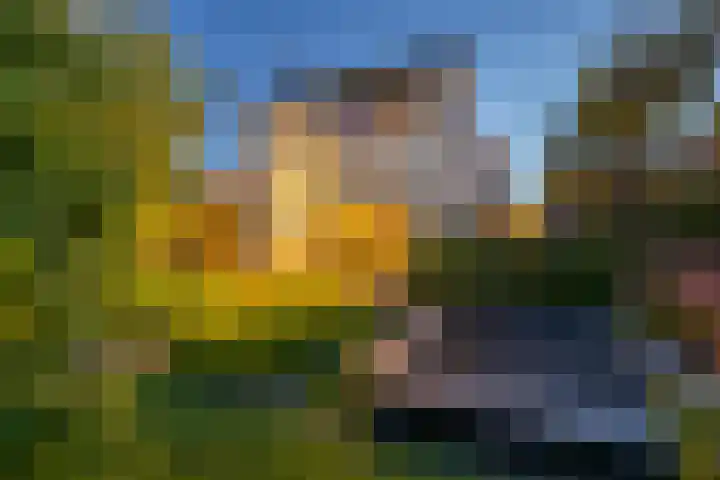 Ringvaartzijde 15 Lisse thumbnail 72