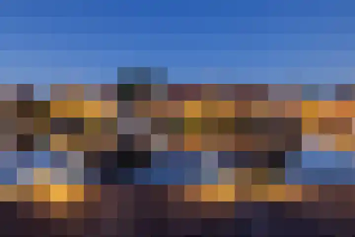 Ringvaartzijde 15 Lisse thumbnail 73