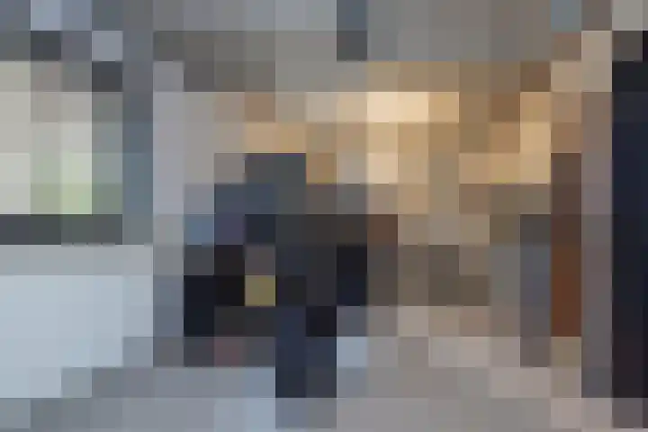 Ringvaartzijde 15 Lisse thumbnail 76
