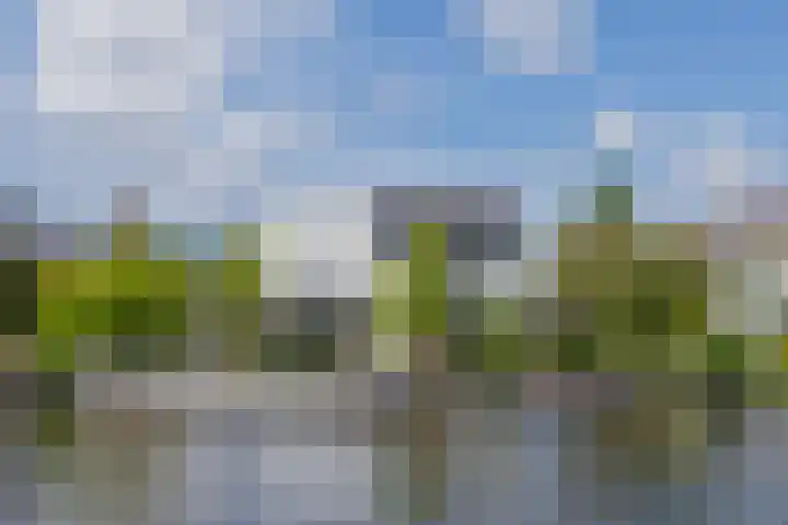 Ringvaartzijde 15 Lisse thumbnail 8