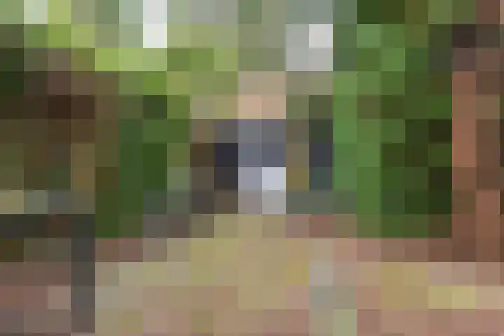 Ringweg 14 Heiloo thumbnail 31