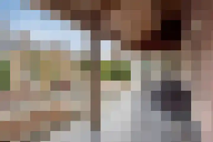 Ringweg 31 Heel thumbnail 26
