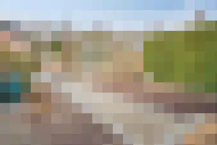 Ringweg 31 Heel thumbnail 29