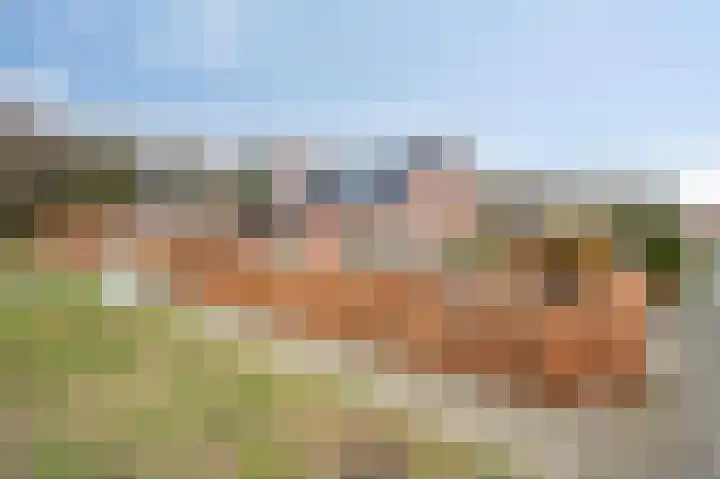 Ringweg 31 Heel thumbnail 38