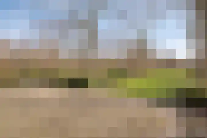 Ringweg 47 Limbricht thumbnail 45