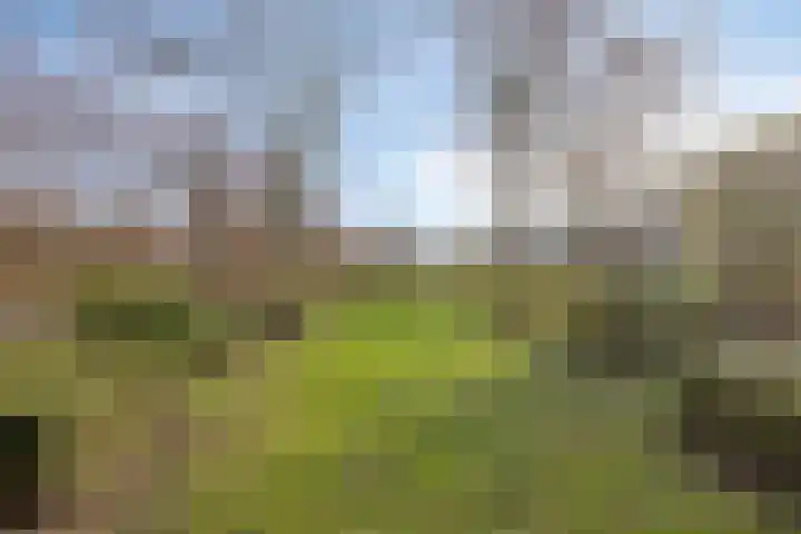 Ringweg 47 Limbricht thumbnail 47
