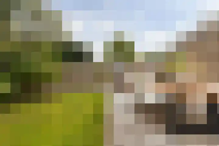 Team foto van Rinze de Makelaar