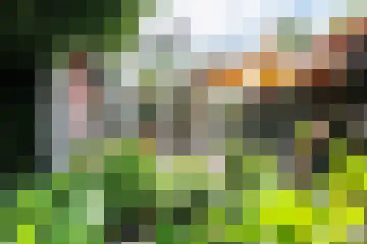 Riperwei 10 Tijnje thumbnail 10
