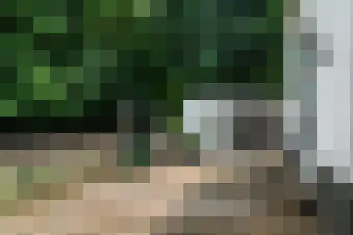 Riperwei 10 Tijnje thumbnail 13