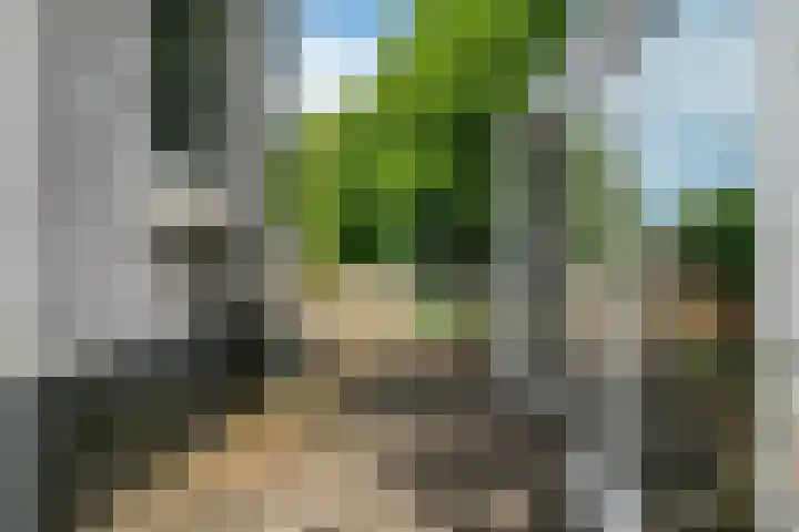 Riperwei 10 Tijnje thumbnail 14