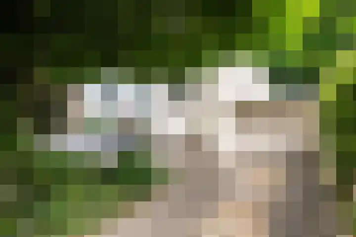 Riperwei 10 Tijnje foto 3