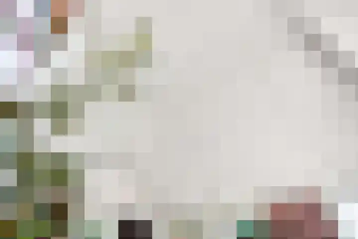 Riperwei 10 Tijnje thumbnail 37