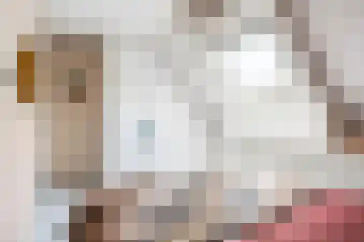 Riperwei 10 Tijnje thumbnail 41