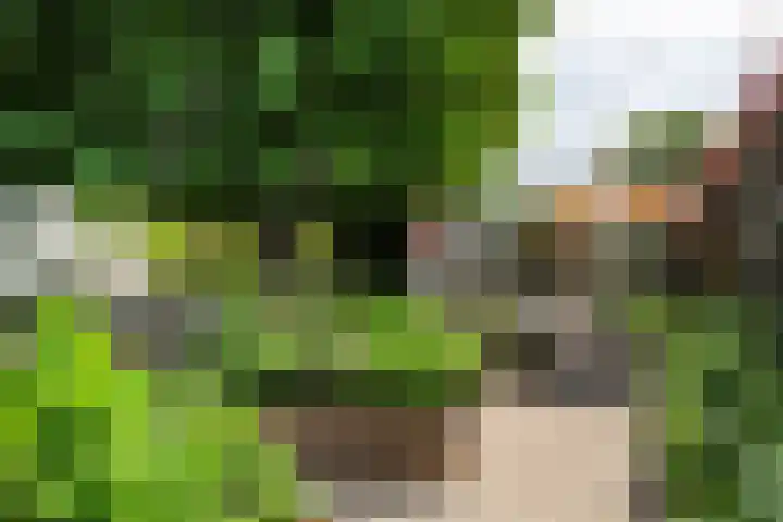 Riperwei 10 Tijnje thumbnail 6