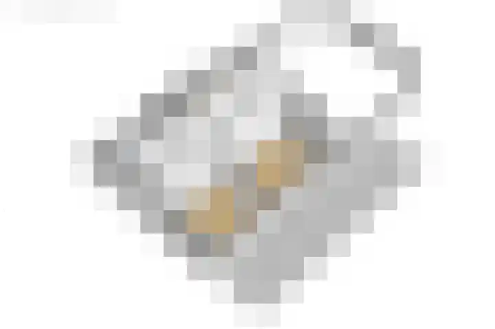 Riperwei 10 Tijnje thumbnail 61