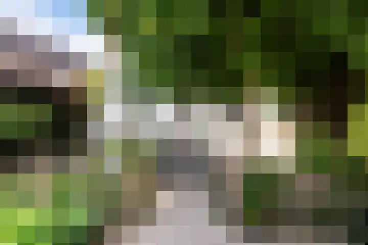 Riperwei 10 Tijnje thumbnail 8