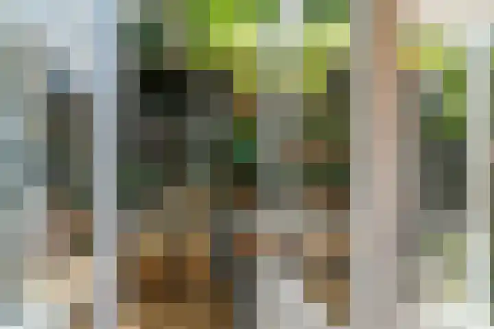 Riperwei 10 Tijnje thumbnail 9