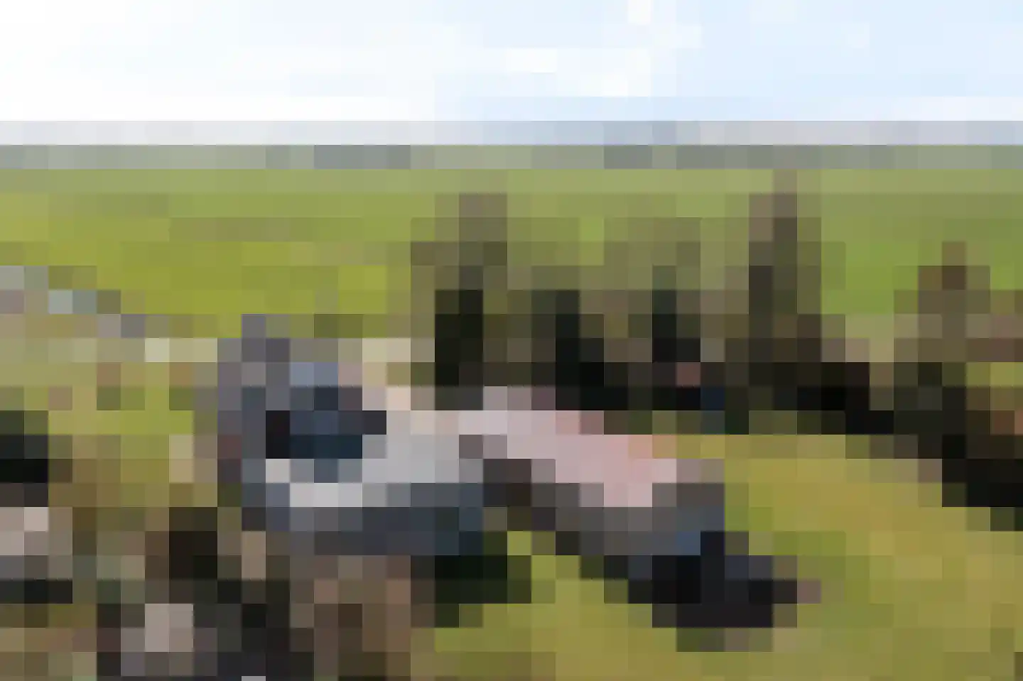 Riperwei 46 Tijnje