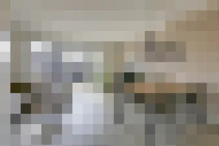 Ripperbansveen 3 Wehl thumbnail 20