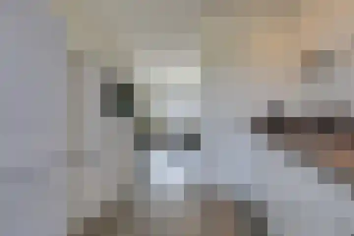 Ripperbansveen 3 Wehl thumbnail 25