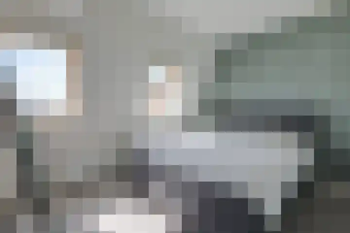 Ripperbansveen 3 Wehl thumbnail 27