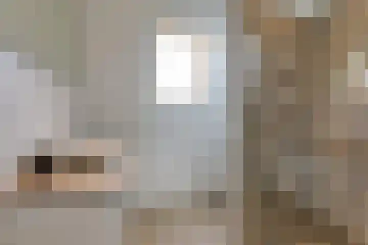 Ripperbansveen 3 Wehl thumbnail 33