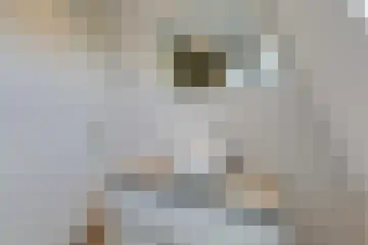 Ripperbansveen 3 Wehl thumbnail 34
