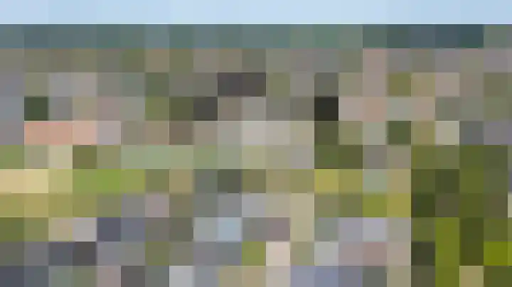 Ripperbansveen 3 Wehl thumbnail 45