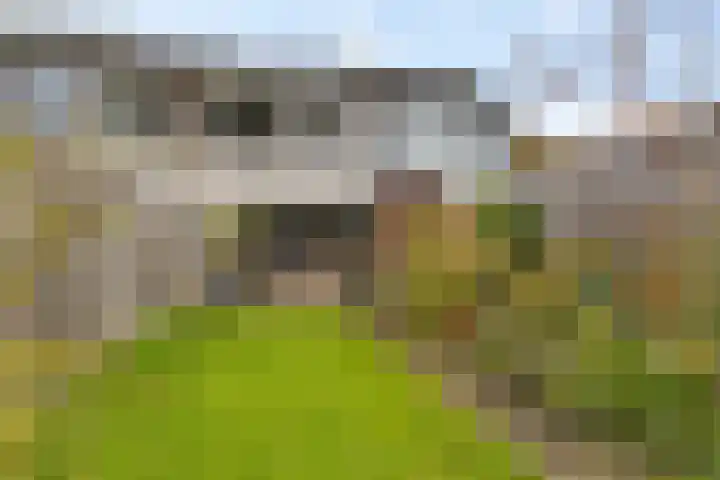 Ripperdadrift 162 Uithuizen