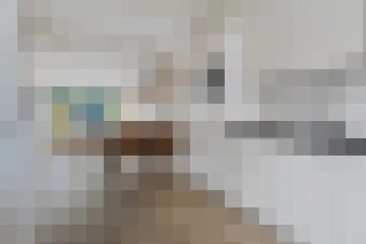 Ripperdadrift 162 Uithuizen thumbnail 15