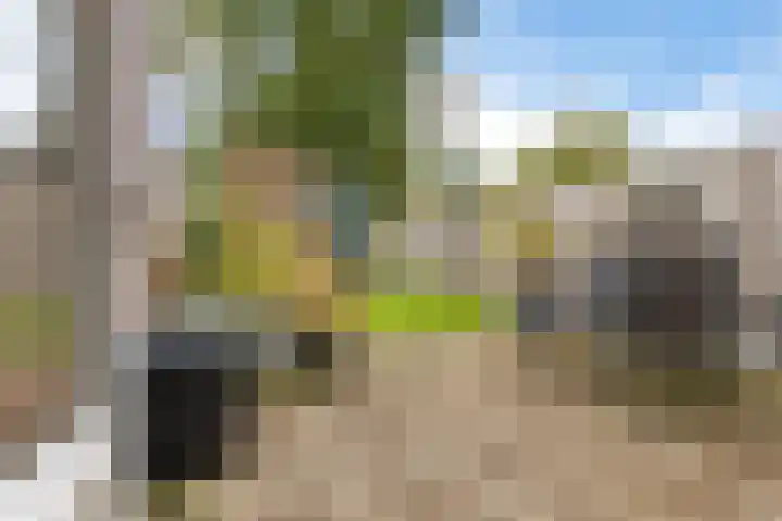 Ripperdadrift 162 Uithuizen thumbnail 29
