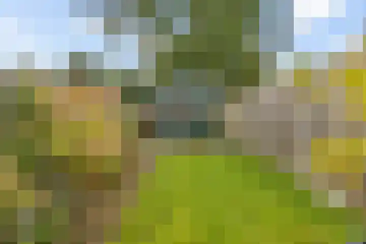 Ripperdadrift 162 Uithuizen thumbnail 30