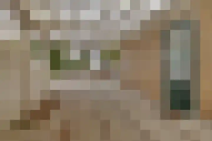 Ripperdadrift 162 Uithuizen thumbnail 33