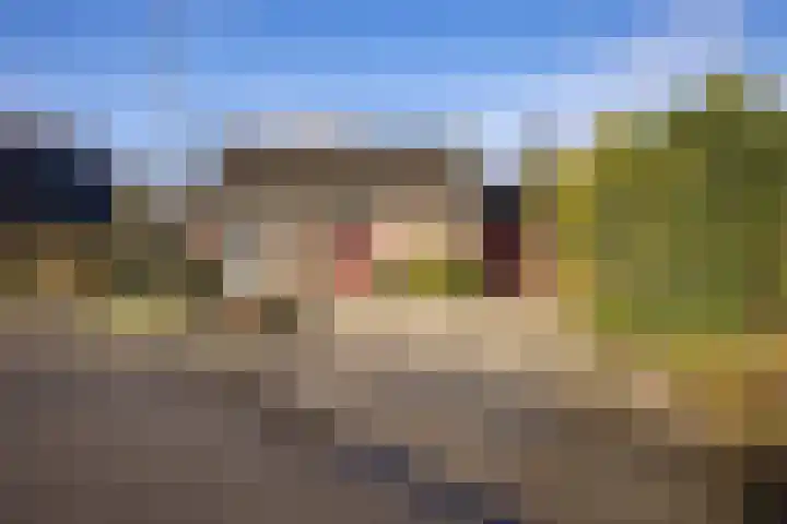 Ripperdadrift 77 in Uithuizen